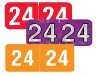 Year Labels